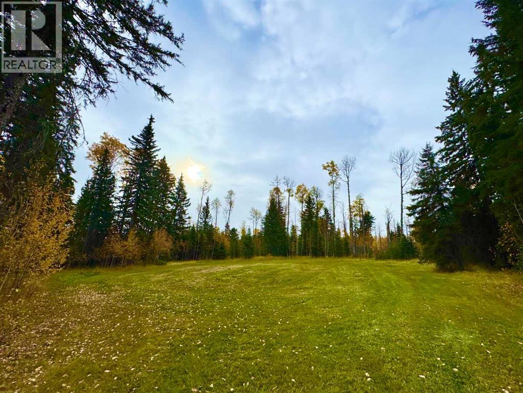 127 Meadow Ponds Drive, Rural Clearwater County, Alberta  T4T 1A7 - Photo 6 - A2264694