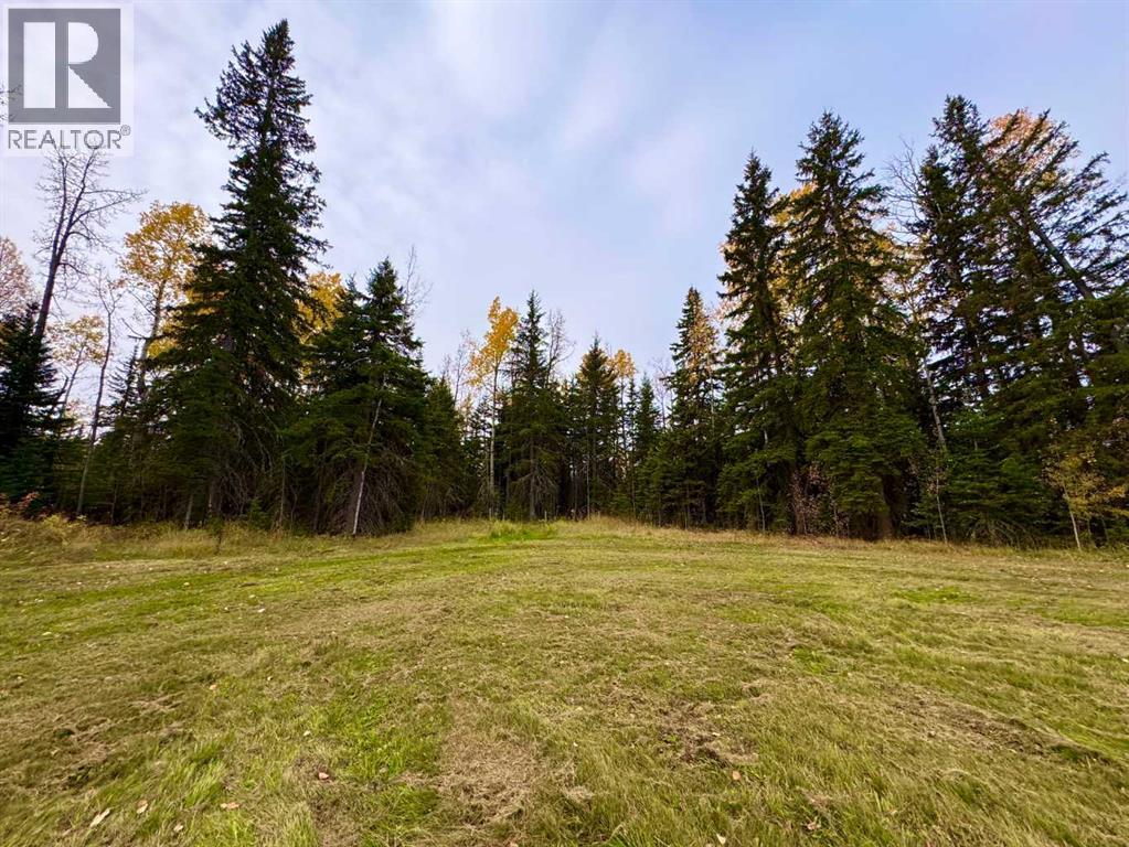 111 Meadow Ponds Drive, Rural Clearwater County, Alberta  T4T 1A7 - Photo 4 - A2264695