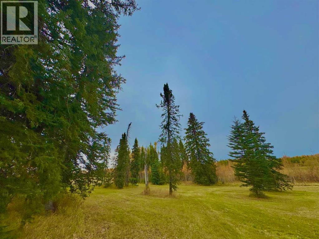 309 Valley View Drive, Rural Clearwater County, Alberta  T4T 1A7 - Photo 3 - A2264698