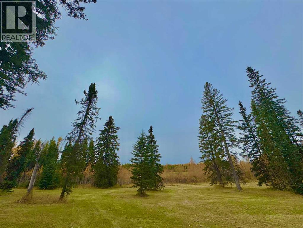 309 Valley View Drive, Rural Clearwater County, Alberta  T4T 1A7 - Photo 4 - A2264698