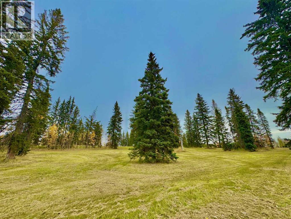 309 Valley View Drive, Rural Clearwater County, Alberta  T4T 1A7 - Photo 1 - A2264698