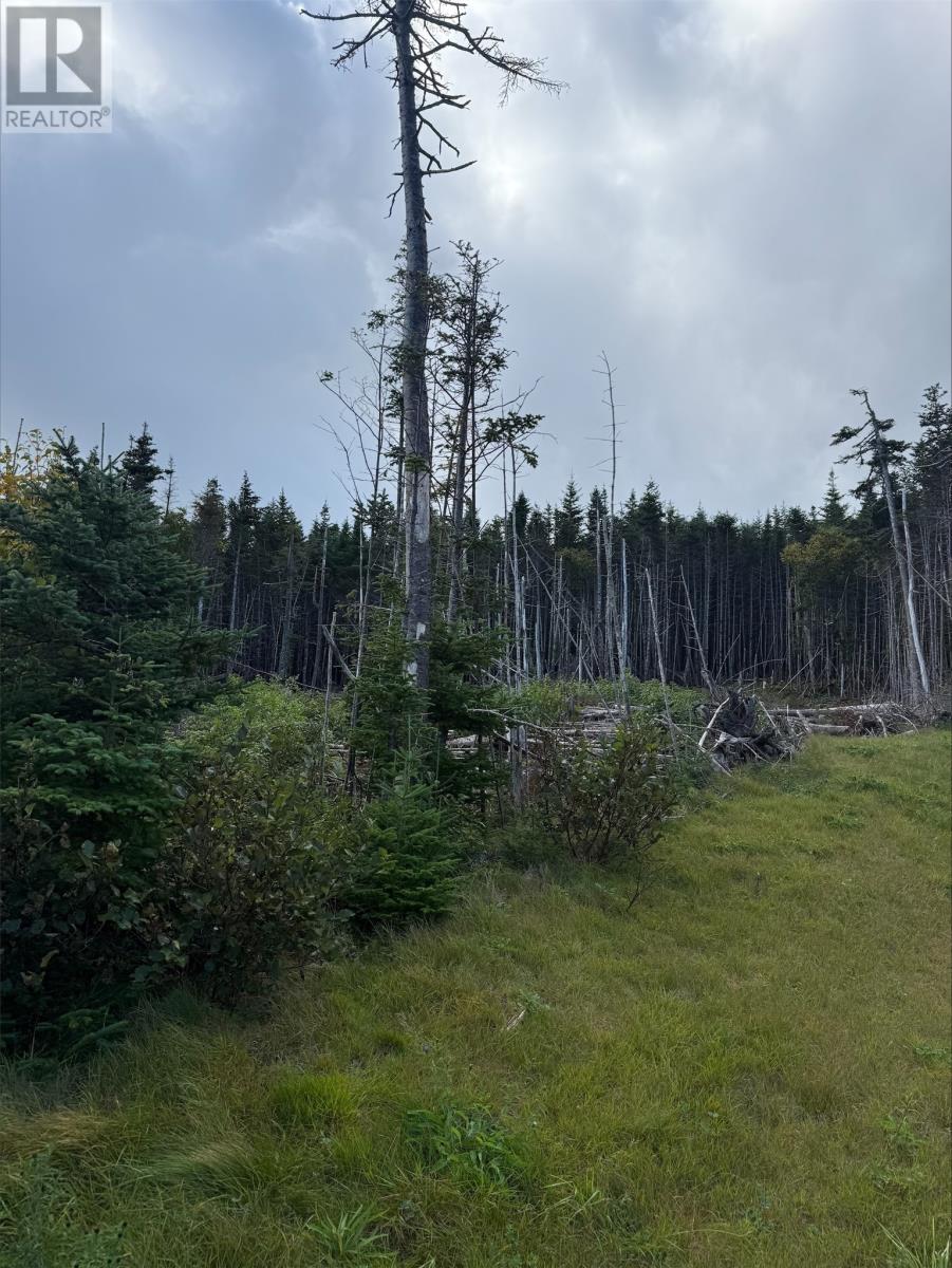 Lot 13 Southern Shore Highway, Ferryland