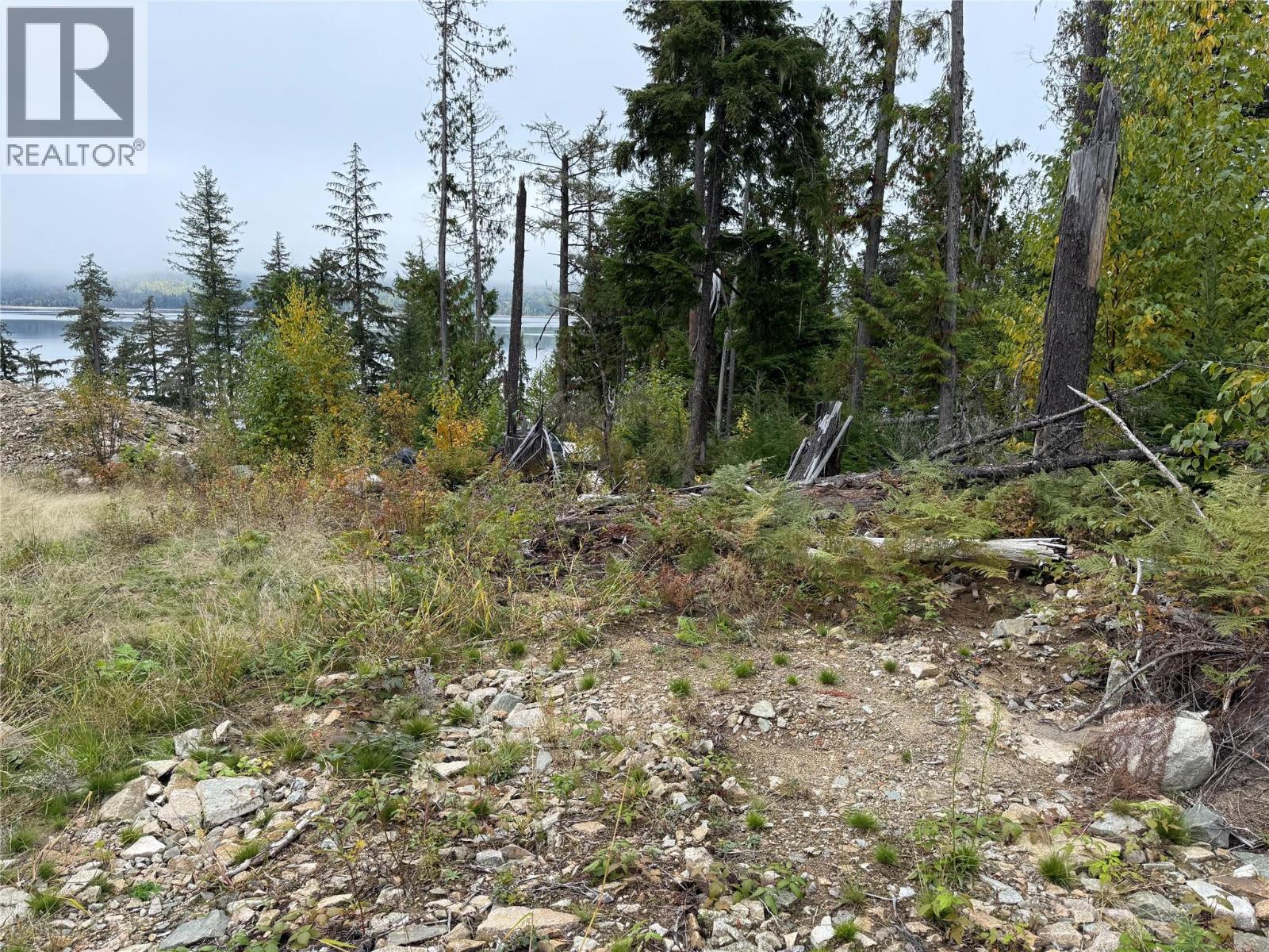 912 Bradley Road, Seymour Arm, British Columbia  V0E 2V2 - Photo 40 - 10402811