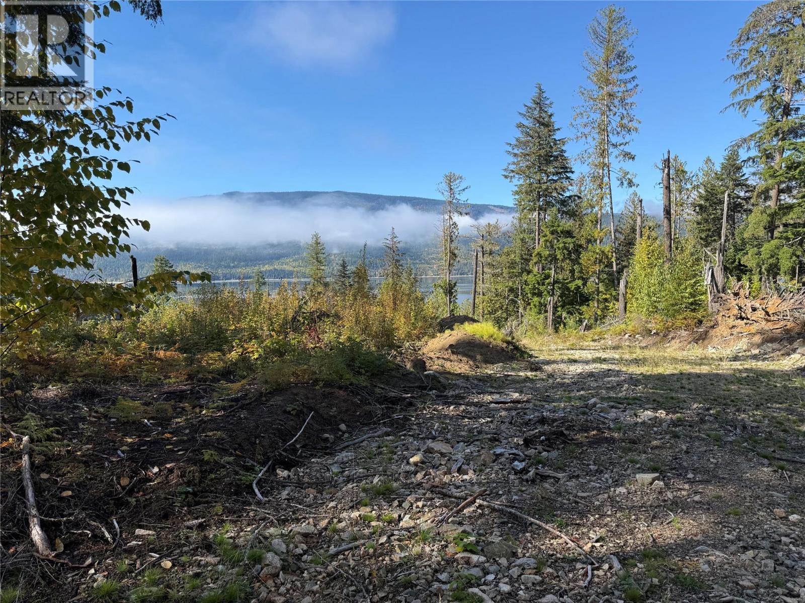 912 Bradley Road, Seymour Arm, British Columbia  V0E 2V2 - Photo 48 - 10402811