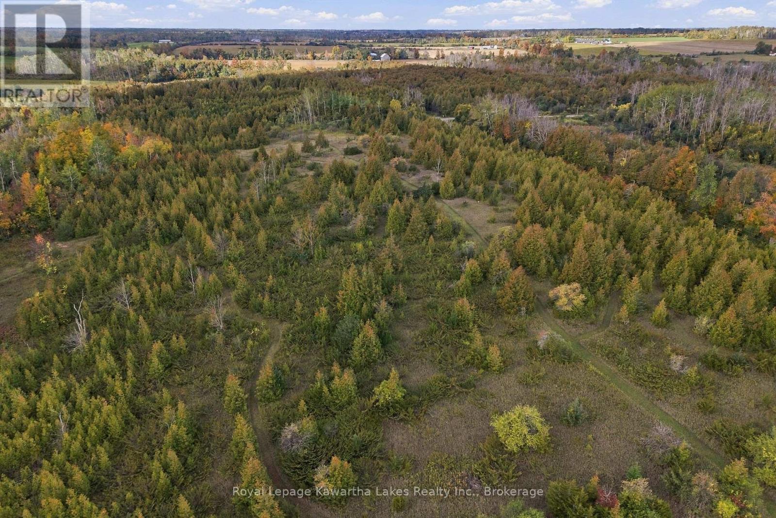 Pt Lt 17 Southside Road, Kawartha Lakes, Ontario K9V 4R5 - Photo 10 - X13872834