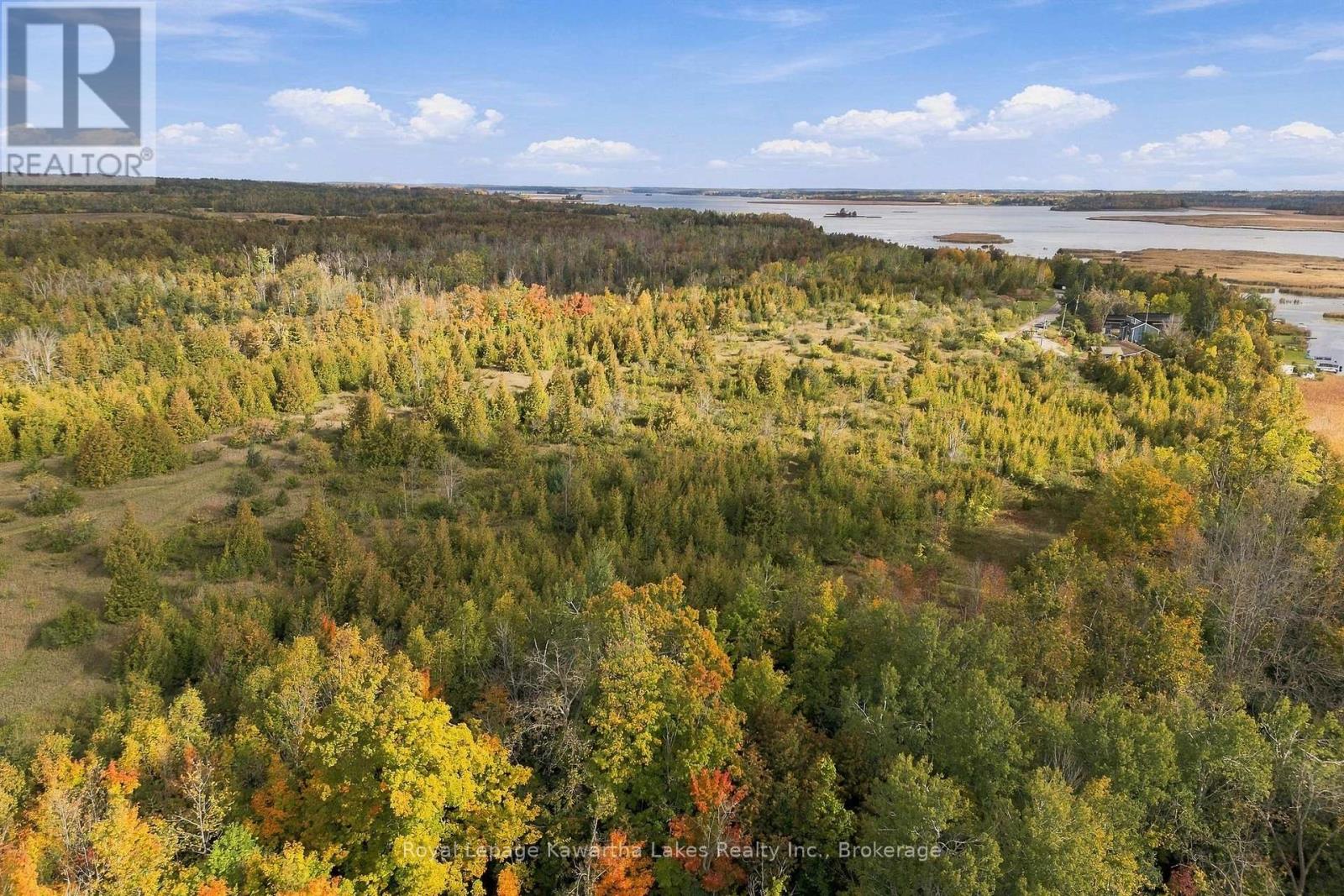 Pt Lt 17 Southside Road, Kawartha Lakes, Ontario K9V 4R5 - Photo 17 - X13872834