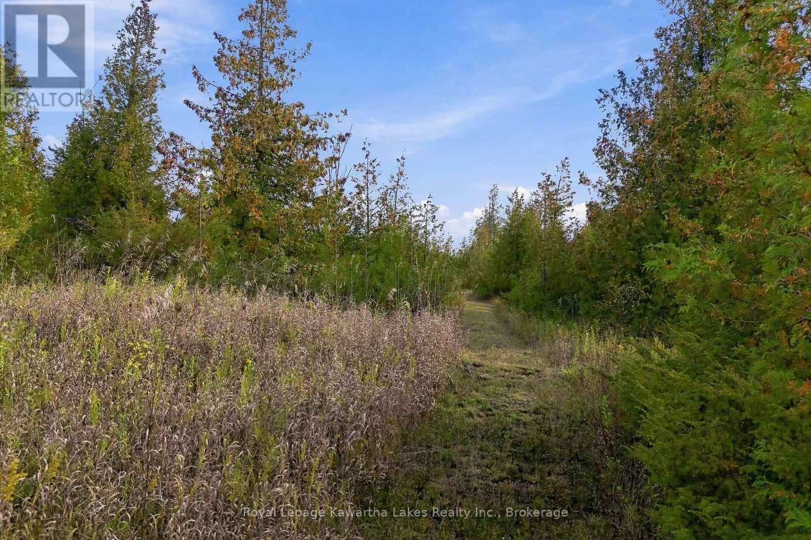 Pt Lt 17 Southside Road, Kawartha Lakes, Ontario K9V 4R5 - Photo 20 - X13872834