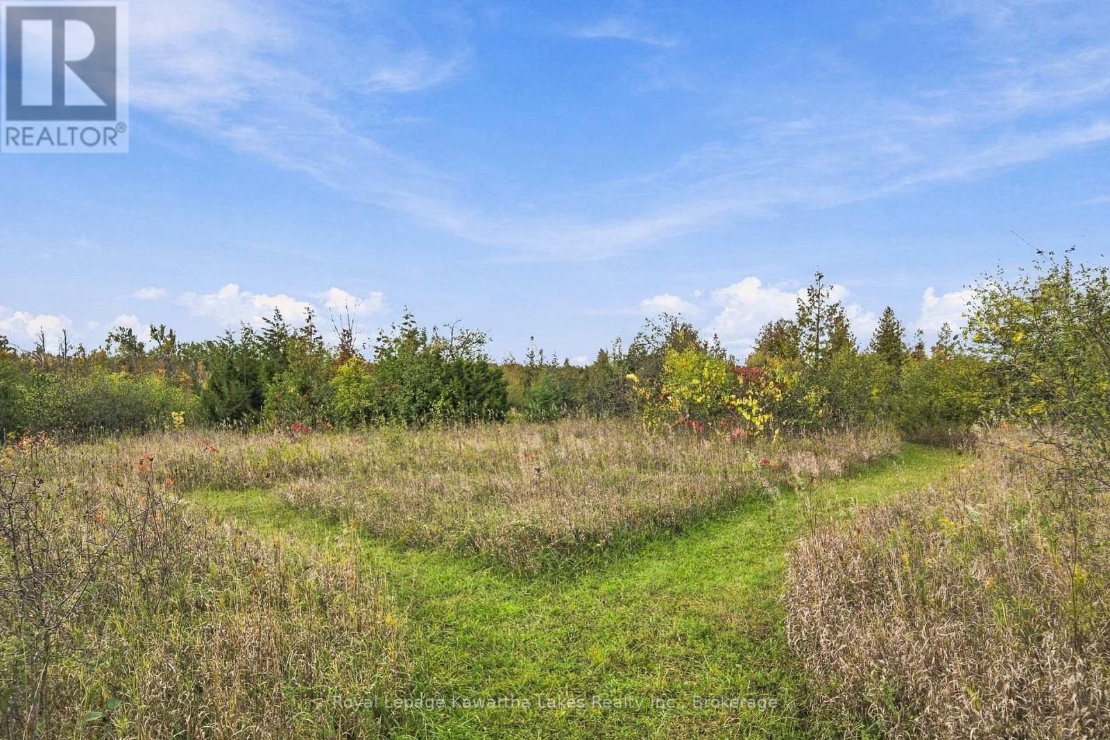 Pt Lt 17 Southside Road, Kawartha Lakes, Ontario K9V 4R5 - Photo 25 - X13872834