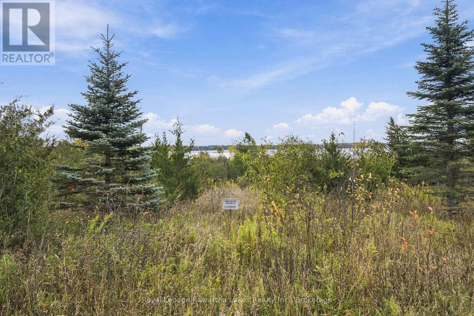 Pt Lt 17 Southside Road, Kawartha Lakes, Ontario K9V 4R5 - Photo 27 - X13872834