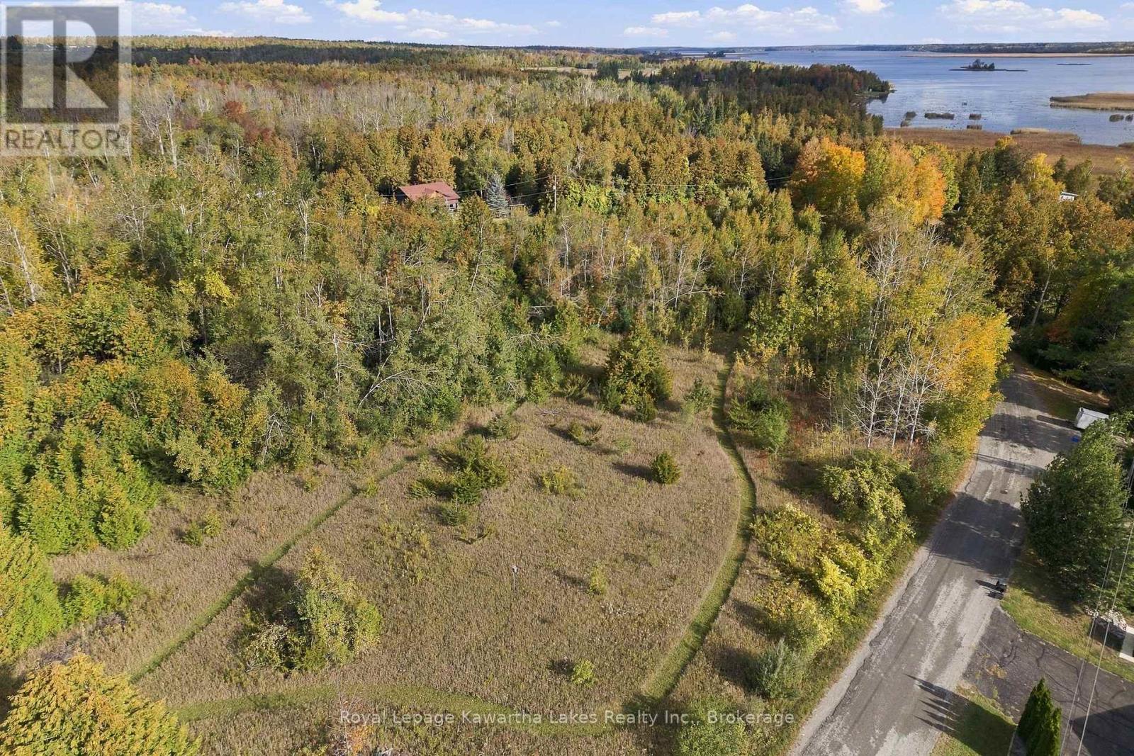 Pt Lt 17 Southside Road, Kawartha Lakes, Ontario K9V 4R5 - Photo 3 - X13872834