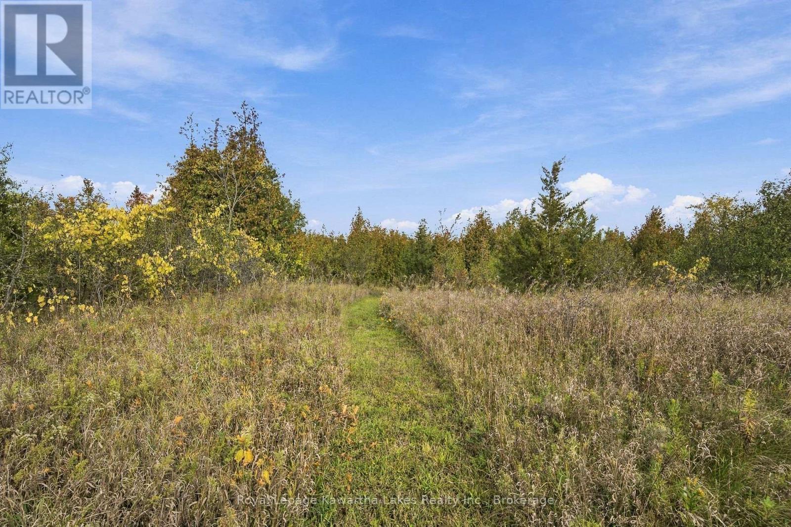 Pt Lt 17 Southside Road, Kawartha Lakes, Ontario K9V 4R5 - Photo 32 - X13872834