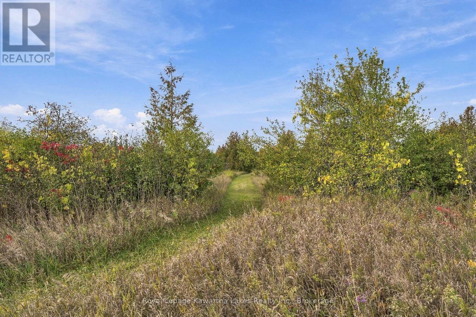 Pt Lt 17 Southside Road, Kawartha Lakes, Ontario K9V 4R5 - Photo 35 - X13872834