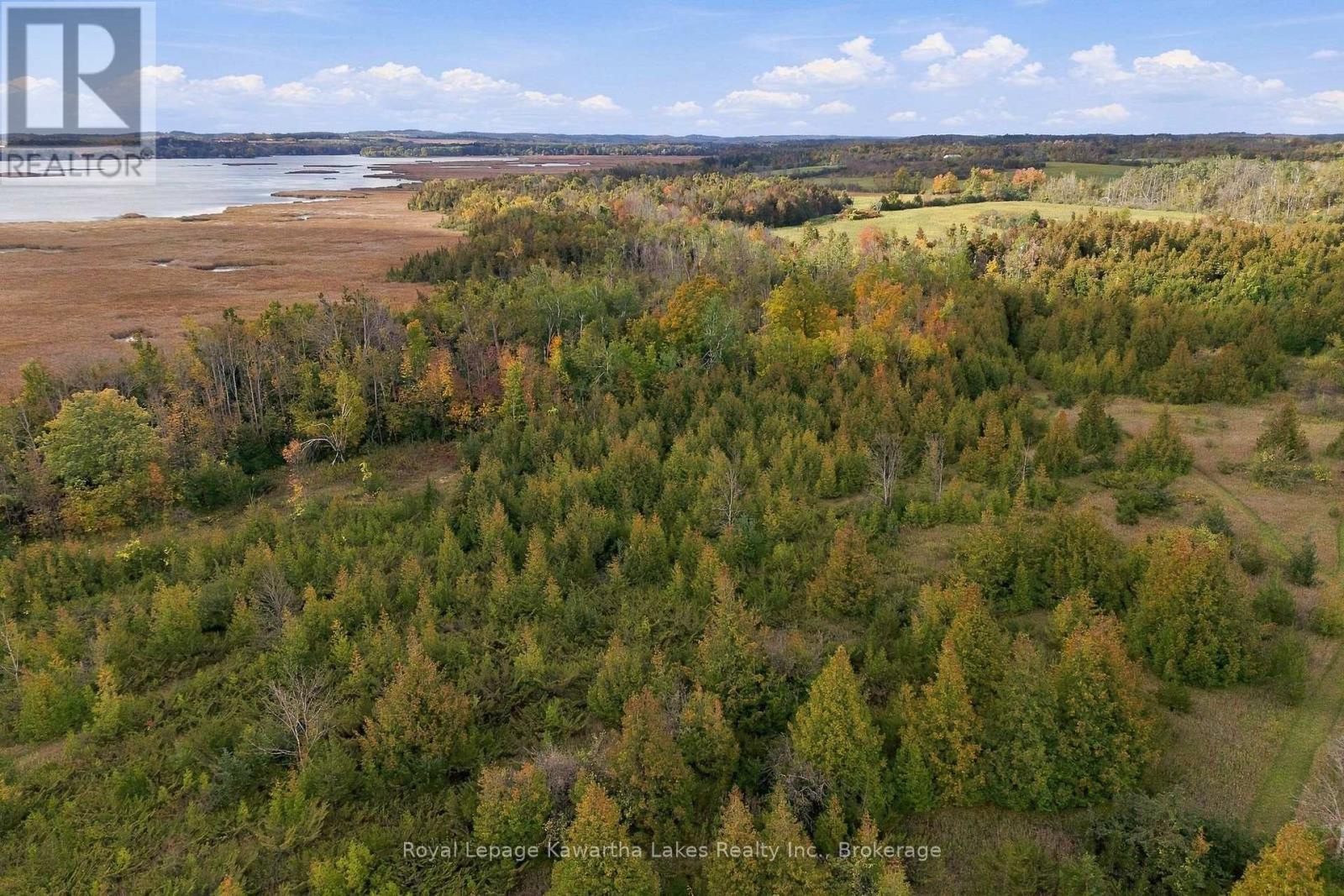 Pt Lt 17 Southside Road, Kawartha Lakes, Ontario K9V 4R5 - Photo 36 - X13872834
