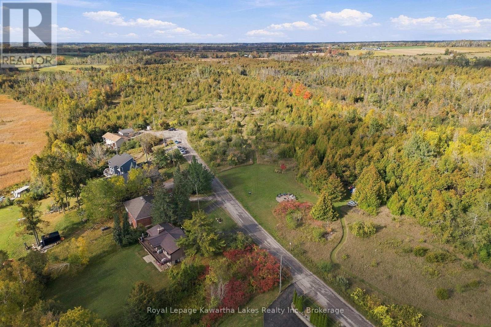 Pt Lt 17 Southside Road, Kawartha Lakes, Ontario K9V 4R5 - Photo 4 - X13872834
