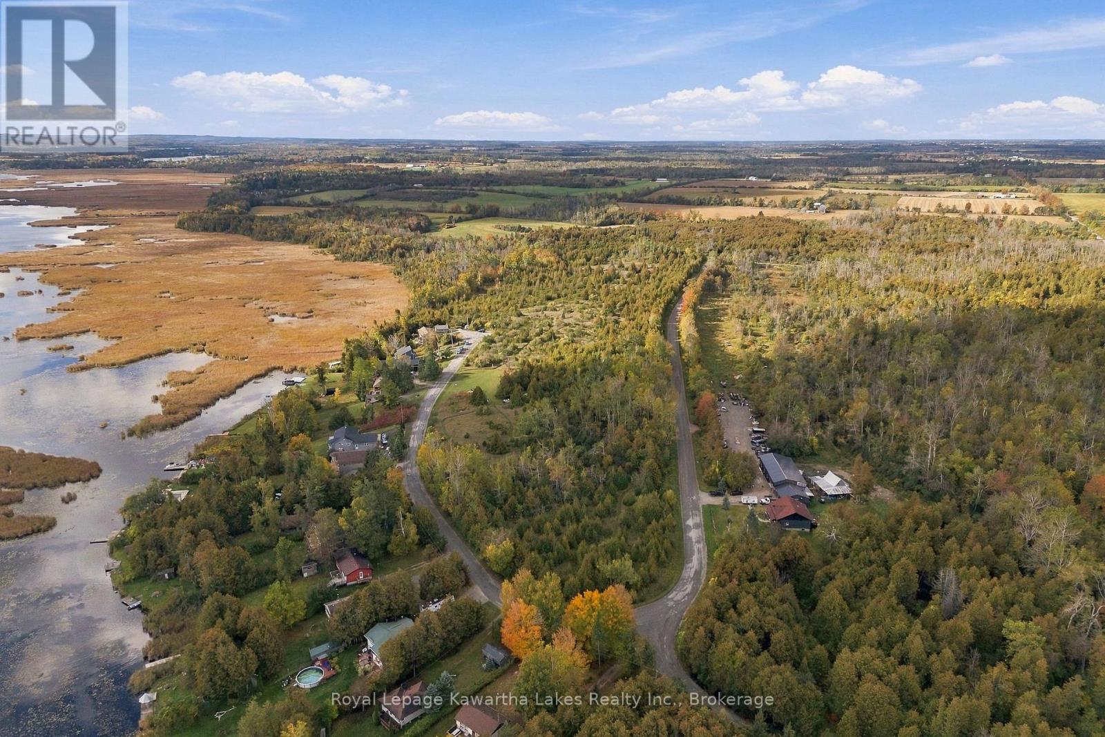 Pt Lt 17 Southside Road, Kawartha Lakes, Ontario K9V 4R5 - Photo 40 - X13872834