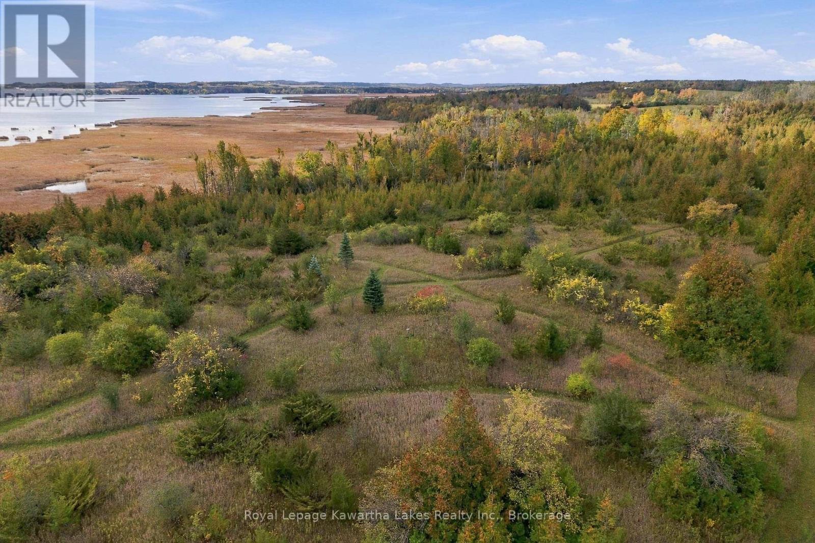 Pt Lt 17 Southside Road, Kawartha Lakes, Ontario K9V 4R5 - Photo 7 - X13872834