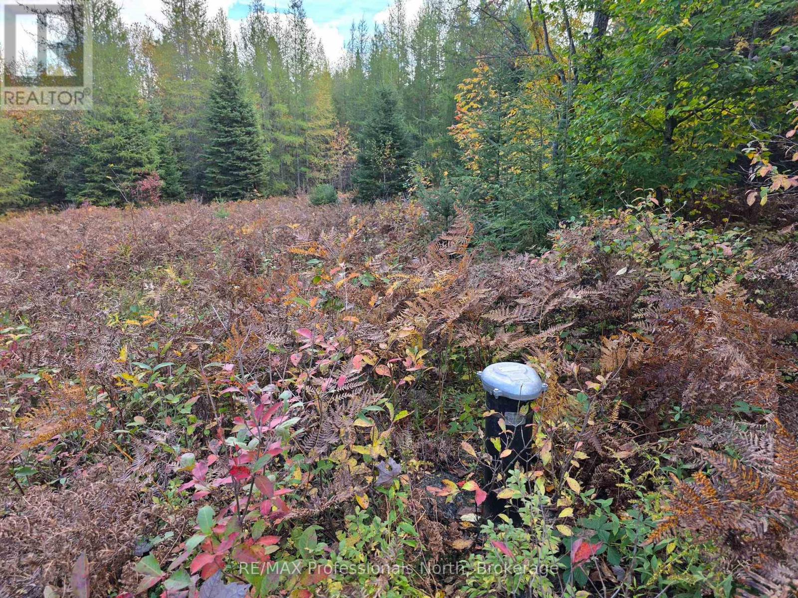 3907 Stisted Road, Mcmurrich/monteith, Ontario  P0A 1Y0 - Photo 16 - X13856338