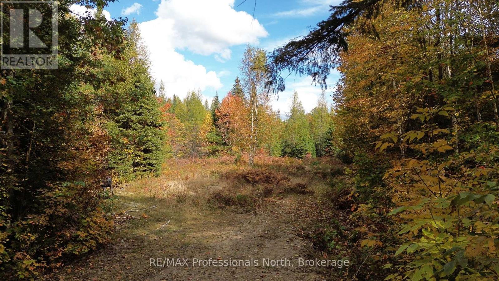 3907 Stisted Road, Mcmurrich/monteith, Ontario  P0A 1Y0 - Photo 26 - X13856338