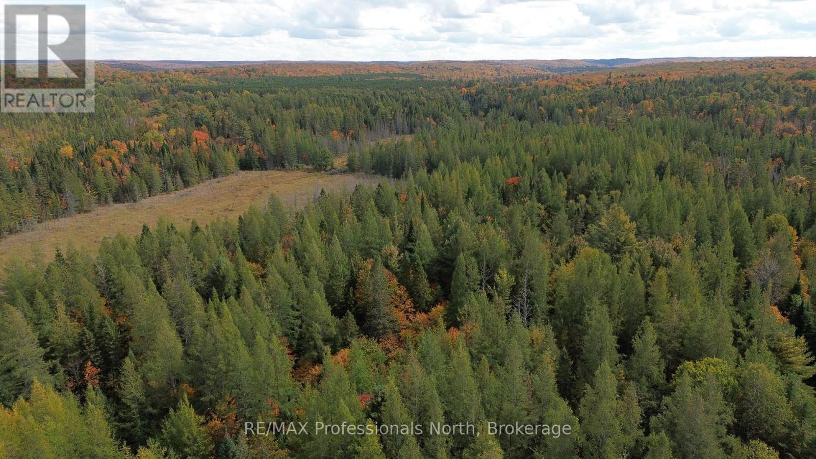 3907 Stisted Road, Mcmurrich/monteith, Ontario  P0A 1Y0 - Photo 31 - X13856338