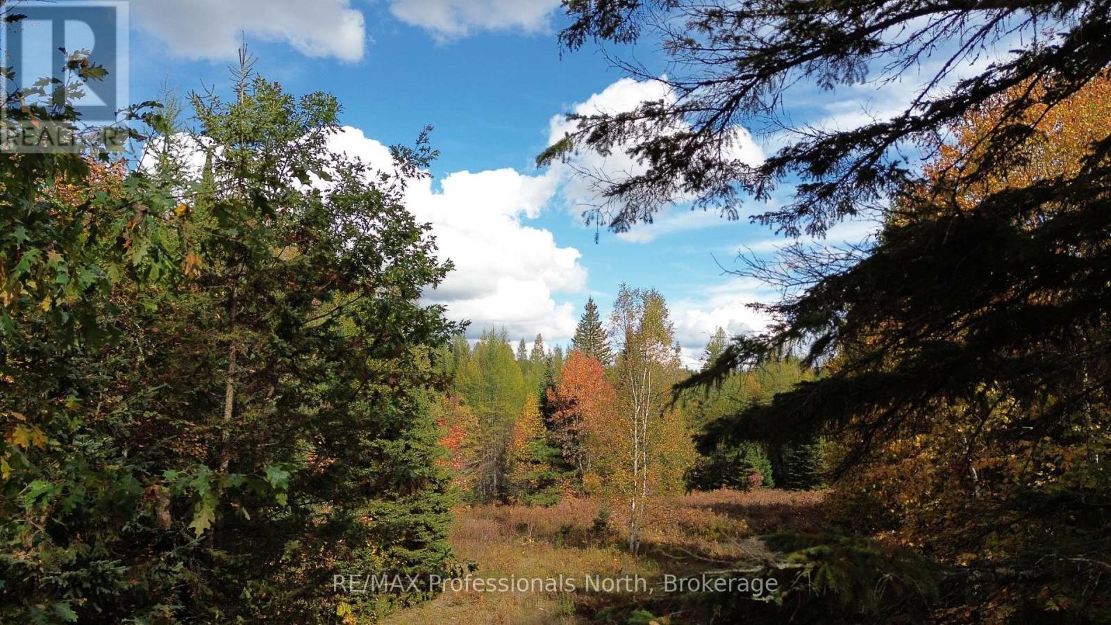 3907 Stisted Road, Mcmurrich/monteith, Ontario  P0A 1Y0 - Photo 25 - X13856338