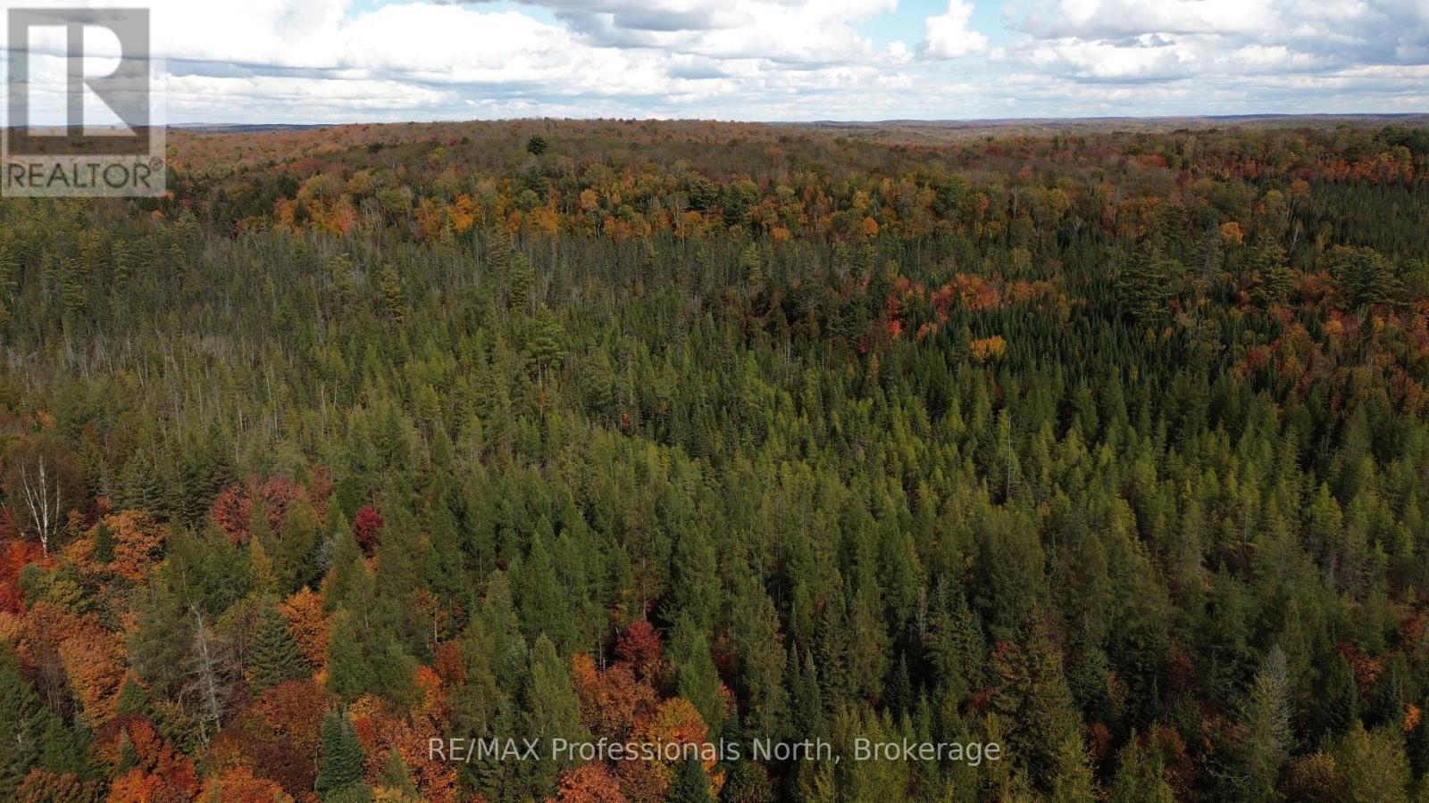3907 Stisted Road, Mcmurrich/monteith, Ontario  P0A 1Y0 - Photo 32 - X13856338