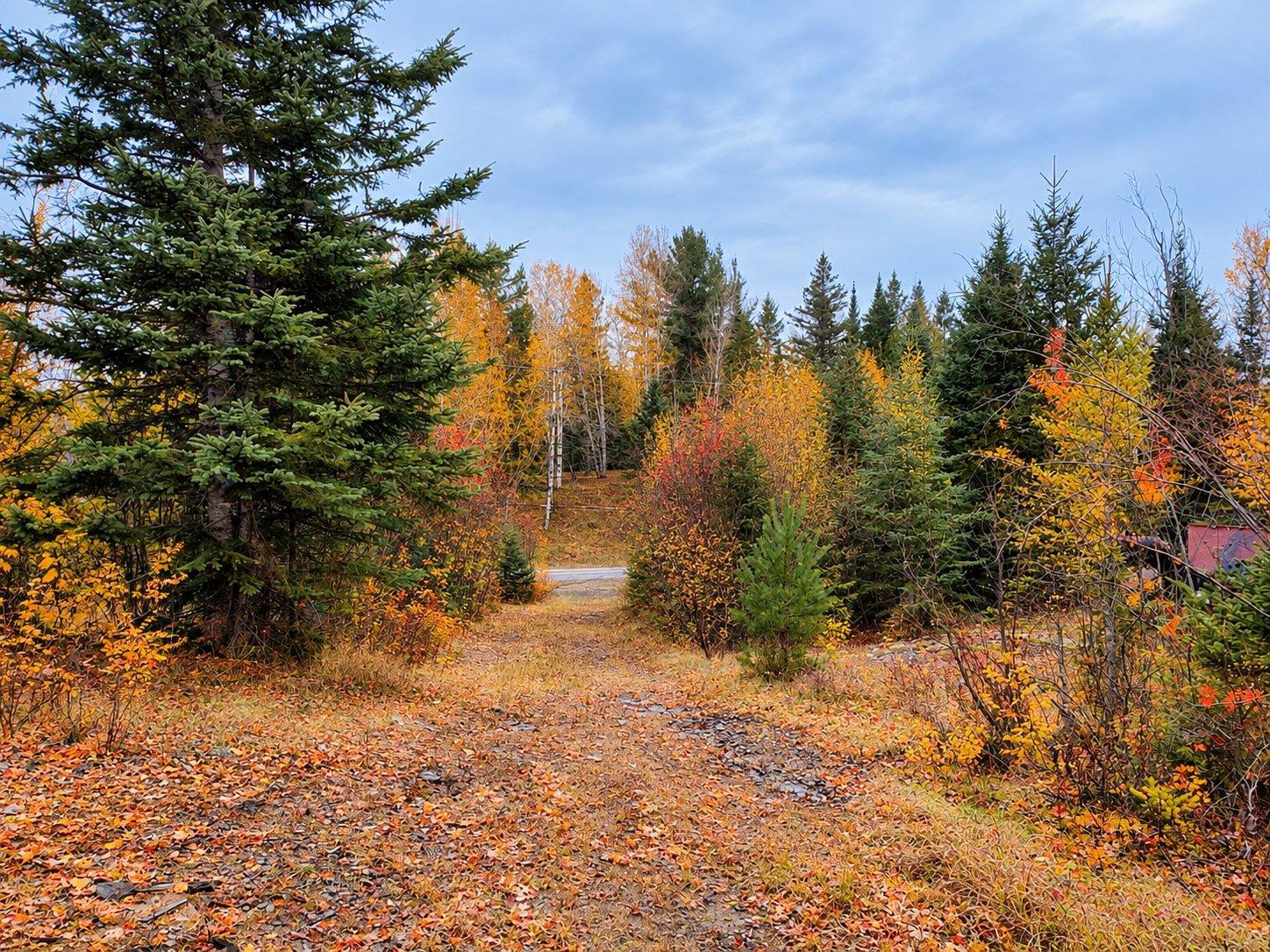 9e Rang Saint-Côme Quebec Canada J0K2B0 5