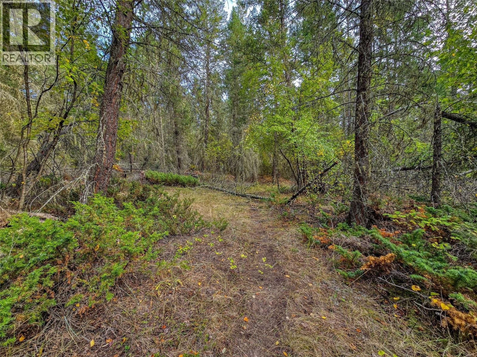 3590 Kootenay No. 3 Road, Windermere, British Columbia  V0B 1L1 - Photo 64 - 10401834