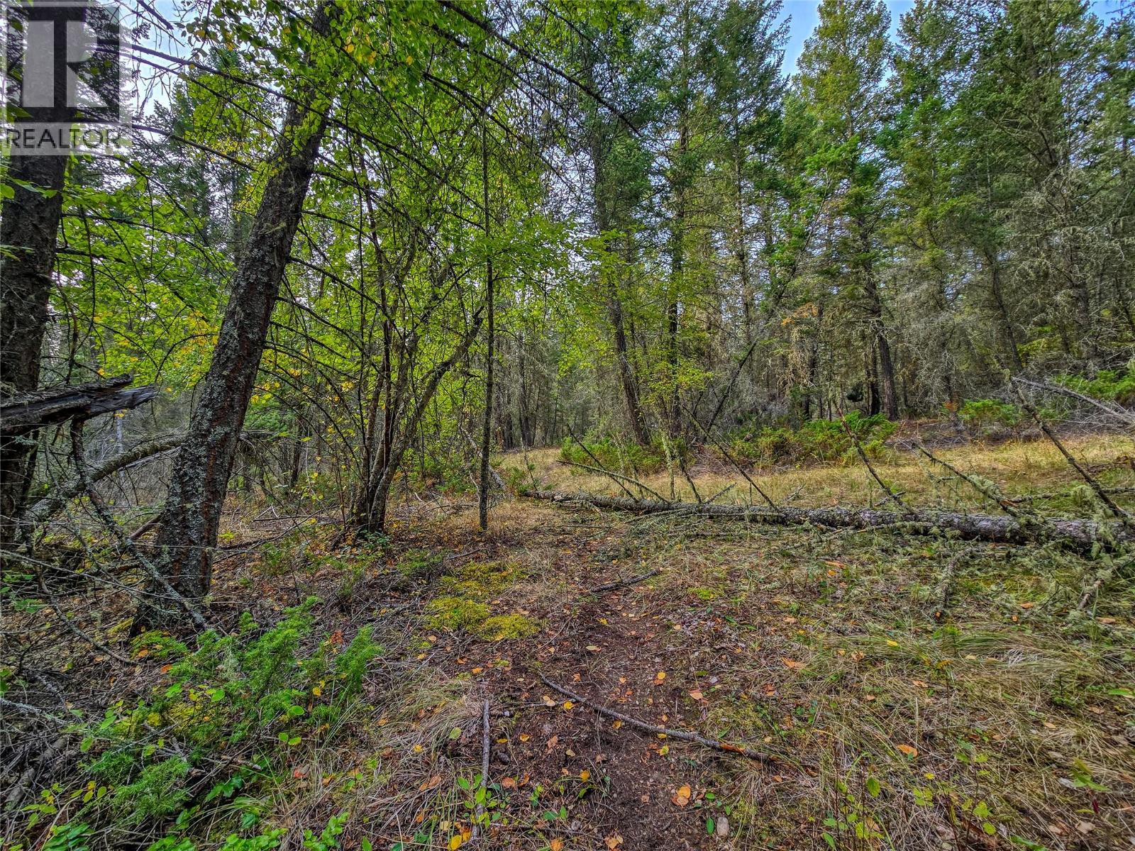 3590 Kootenay No. 3 Road, Windermere, British Columbia  V0B 1L1 - Photo 78 - 10401834