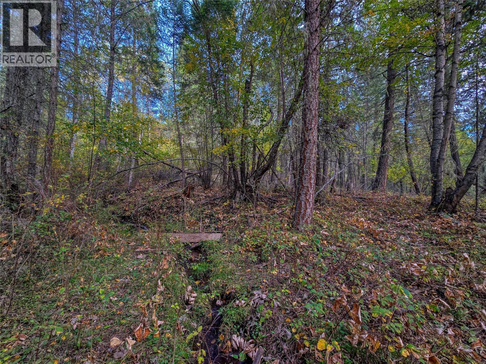 3590 Kootenay No. 3 Road, Windermere, British Columbia  V0B 1L1 - Photo 74 - 10401834