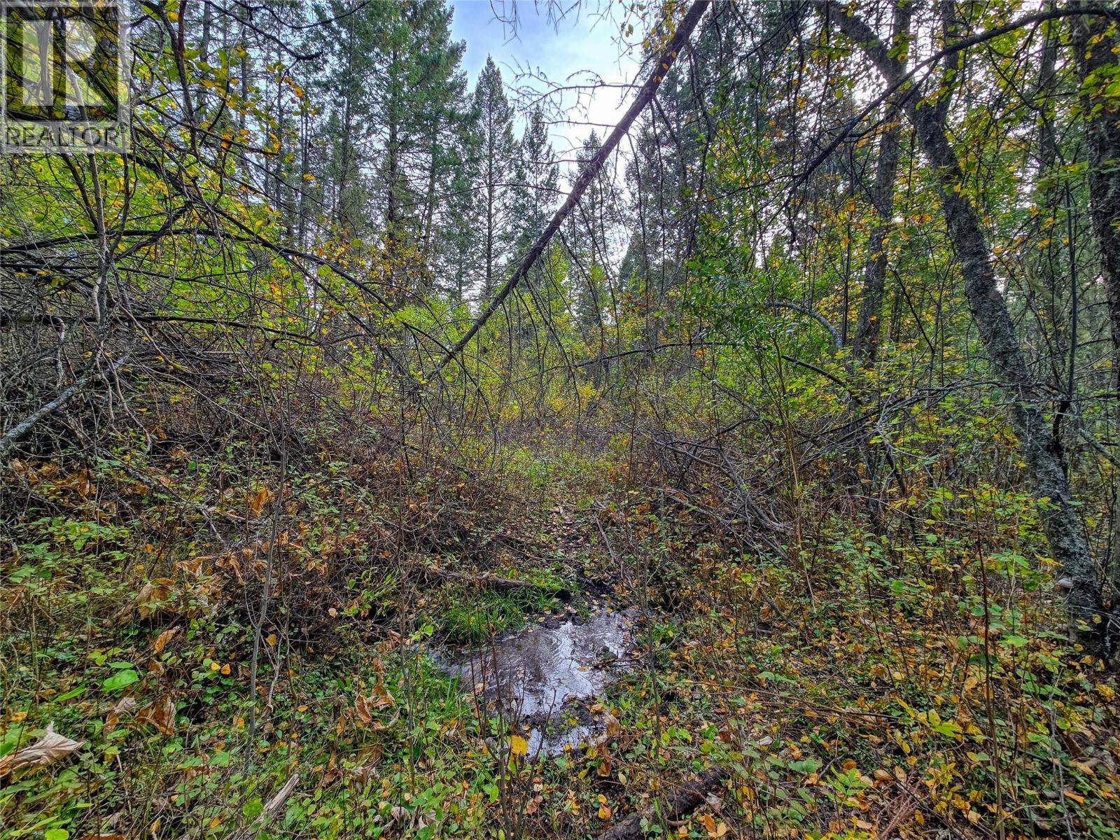 3590 Kootenay No. 3 Road Windermere British Columbia Canada V0B1L1 4
