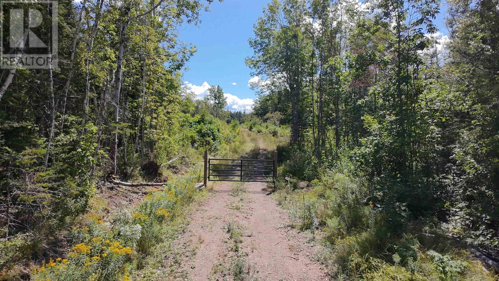Lot 1 Dalhousie Road, Loganville, Nova Scotia  B0K 1R0 - Photo 2 - 202604161
