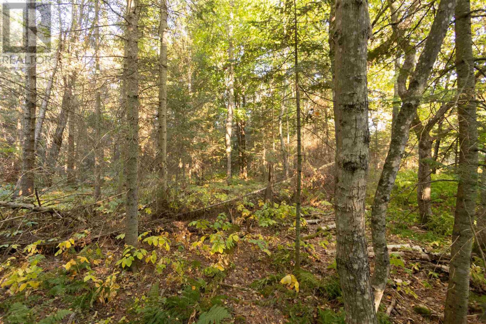 Lot 14&15 Nokomis Beach Rd, Sault Ste. Marie, Ontario  P6A 5K6 - Photo 10 - SM262782