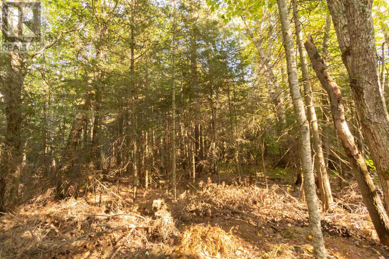 Lot 16 Nokomis Beach Rd, Sault Ste. Marie, Ontario  P6A 5K6 - Photo 6 - SM262783