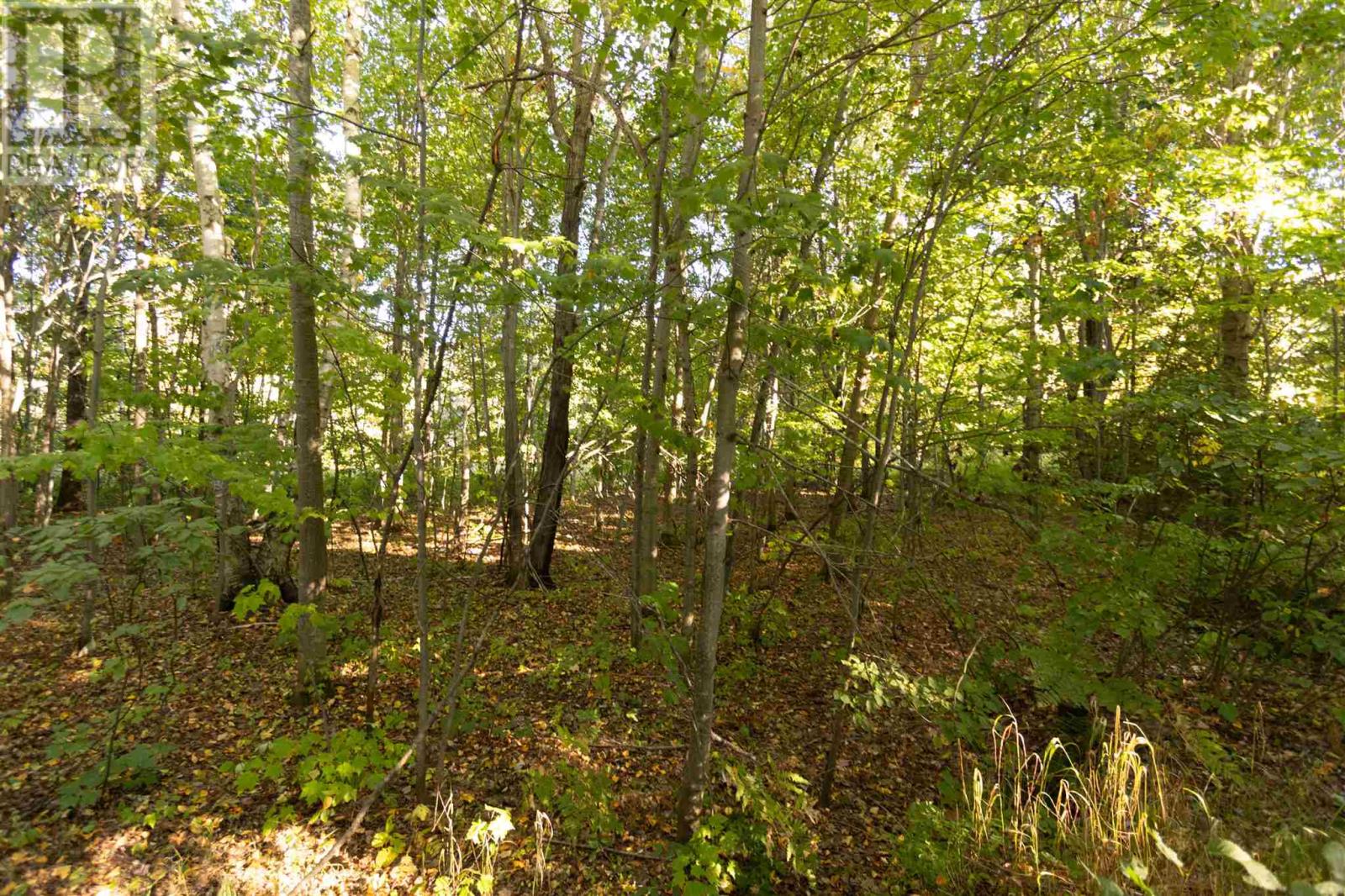 Lot 19 Nokomis Beach Rd, Sault Ste. Marie, Ontario  P6A 5K6 - Photo 11 - SM262784