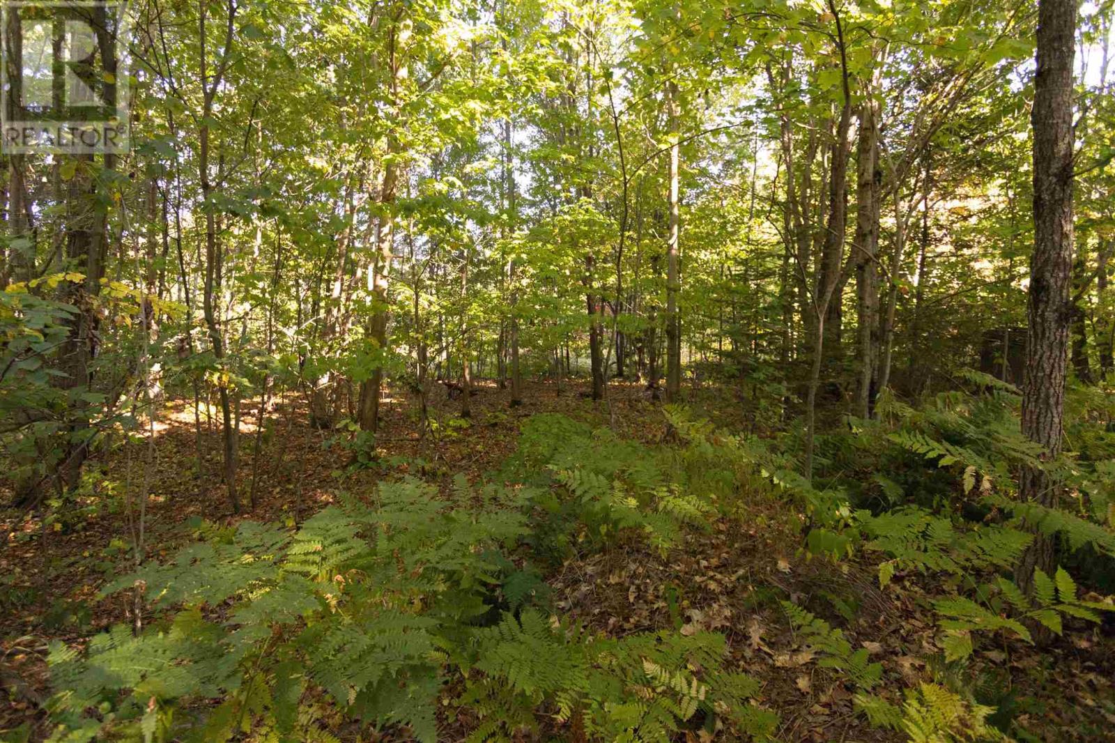 Lot 19 Nokomis Beach Rd, Sault Ste. Marie, Ontario  P6A 5K6 - Photo 5 - SM262784