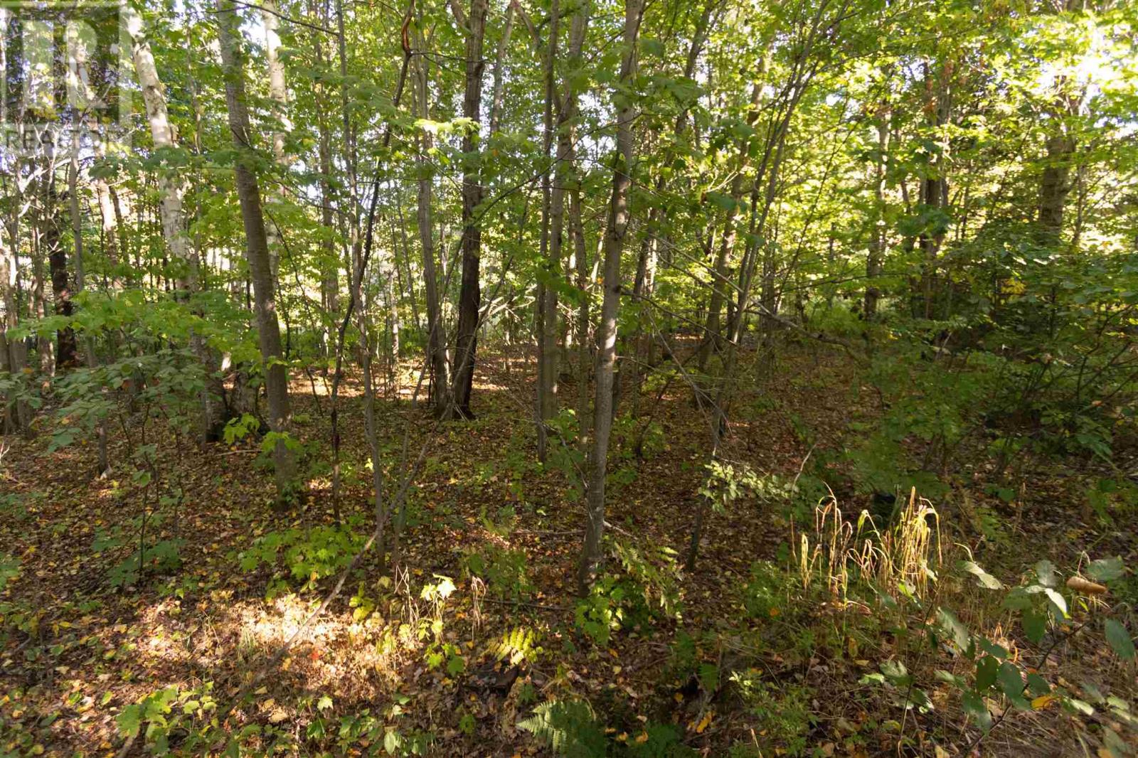 Lot 19 Nokomis Beach Rd, Sault Ste. Marie, Ontario  P6A 5K6 - Photo 6 - SM262784