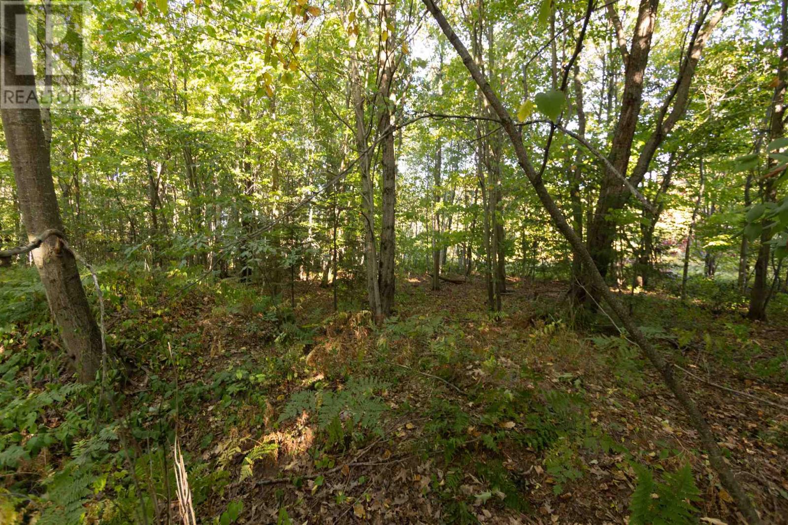Lot 19 Nokomis Beach Rd, Sault Ste. Marie, Ontario  P6A 5K6 - Photo 13 - SM262784