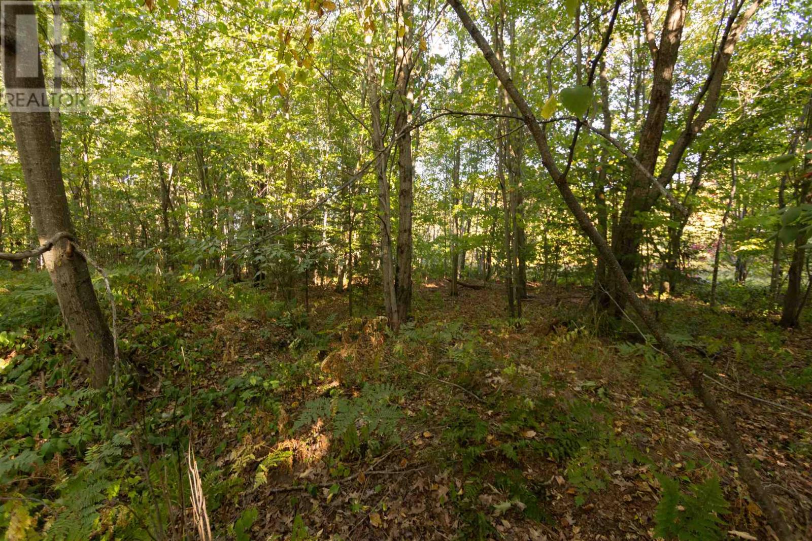 Lot 19 Nokomis Beach Rd, Sault Ste. Marie, Ontario  P6A 5K6 - Photo 9 - SM262784