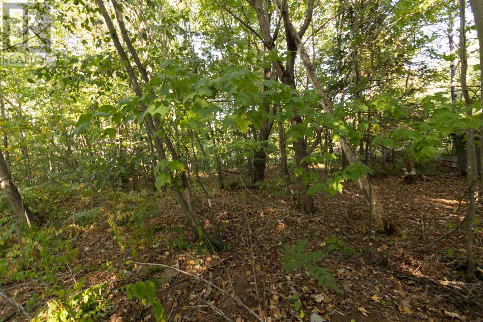 Lot 19 Nokomis Beach Rd, Sault Ste. Marie, Ontario  P6A 5K6 - Photo 7 - SM262784
