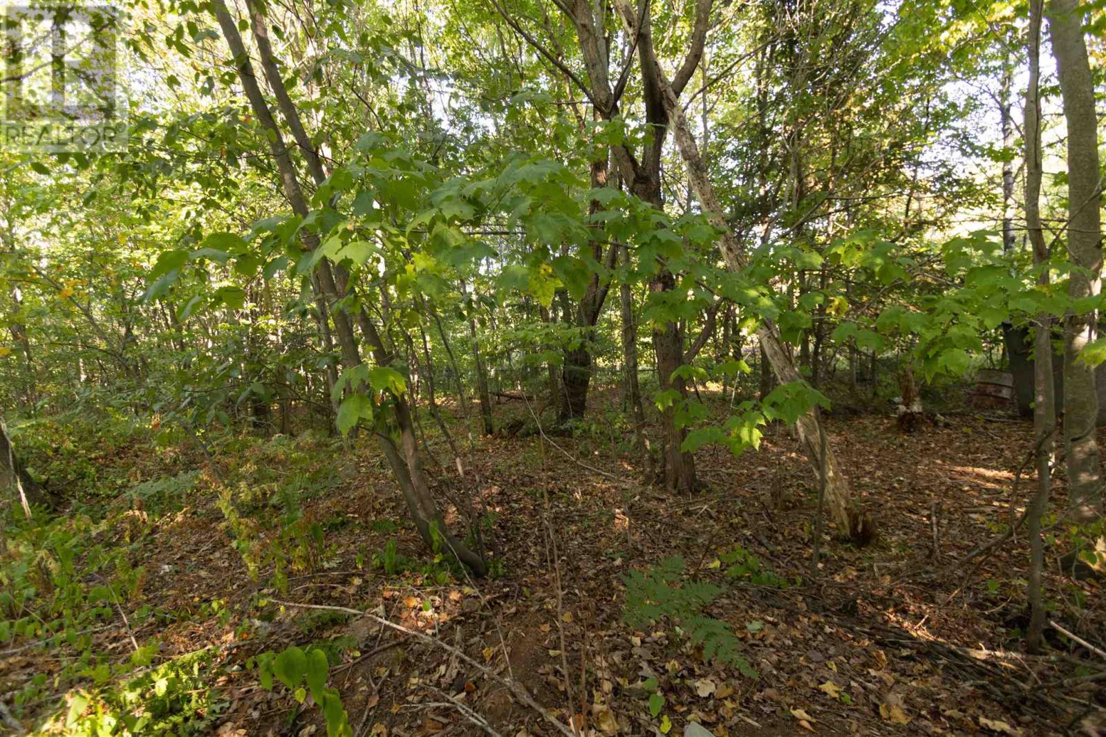 Lot 19 Nokomis Beach Rd, Sault Ste. Marie, Ontario  P6A 5K6 - Photo 8 - SM262784