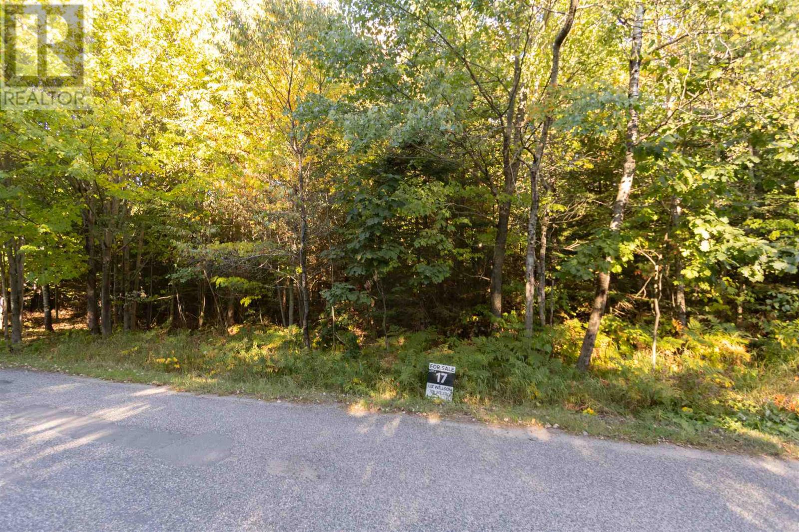 Lot 17 Nokomis Beach Rd, Sault Ste. Marie, Ontario  P6A 5K6 - Photo 6 - SM262785