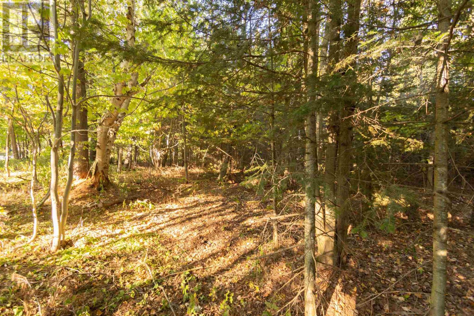 Lot 18 Nokomis Beach Rd, Sault Ste. Marie, Ontario  P6A 5K6 - Photo 6 - SM262786