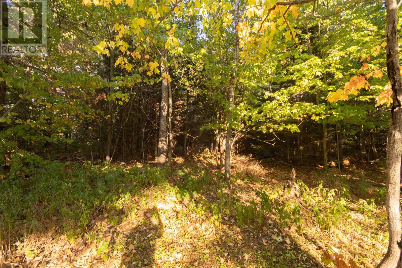 Lot 18 Nokomis Beach Rd, Sault Ste. Marie, Ontario  P6A 5K6 - Photo 5 - SM262786