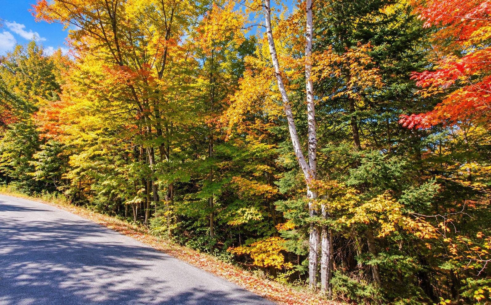 Ch. de la Paix Mont-Tremblant Quebec Canada J8E2J5 3