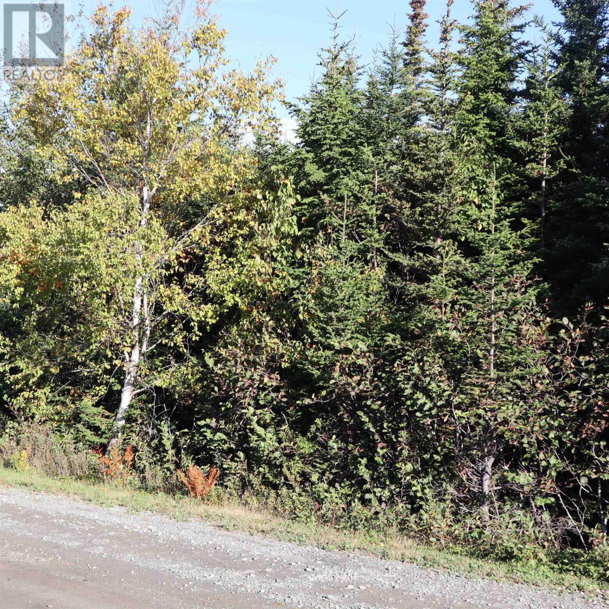 Lot 77 Nebooktook Walk, Clam Harbour, Nova Scotia  B0J 1Y0 - Photo 5 - 202624832