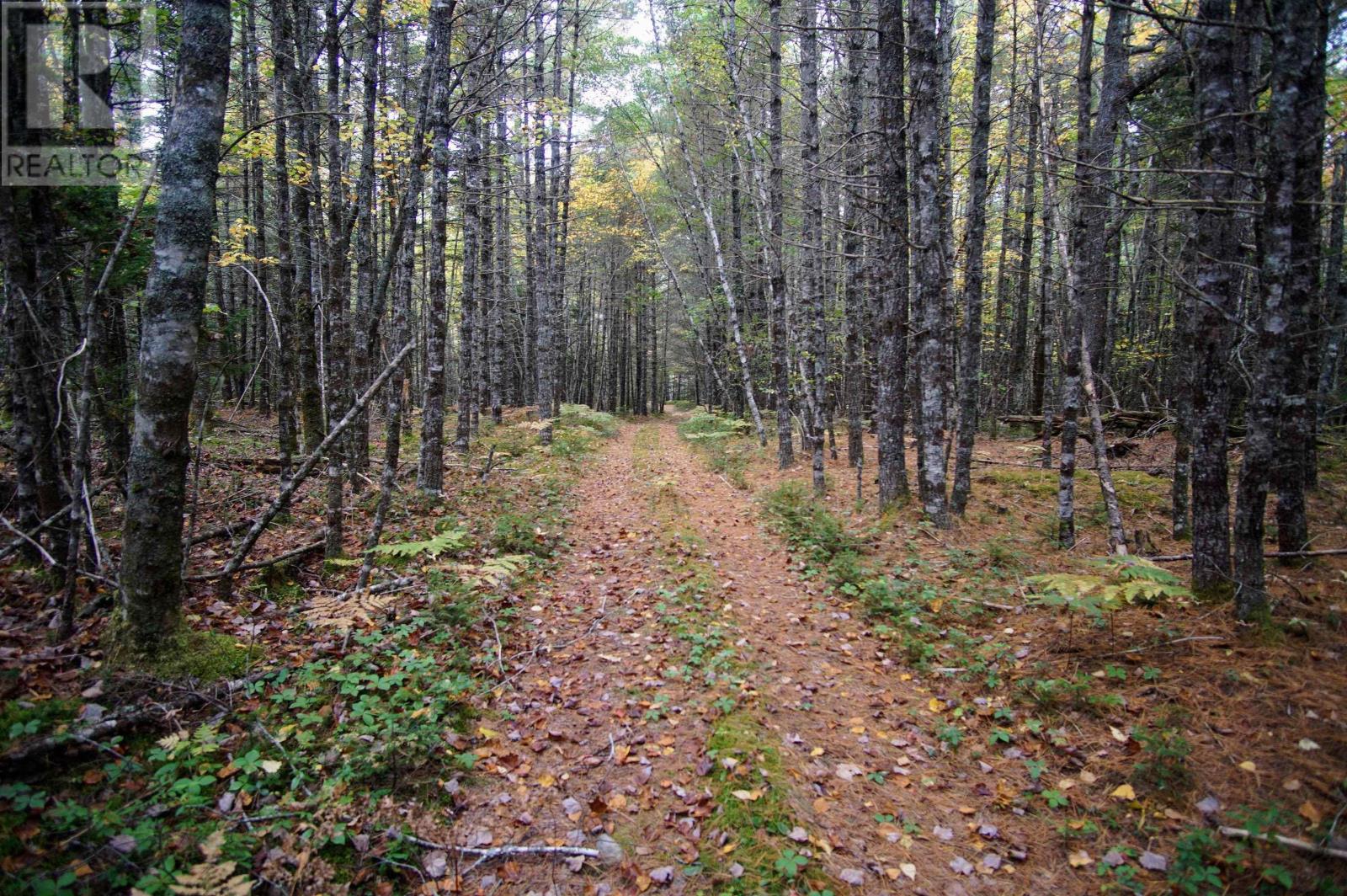 1001 Canada Hill Road, Canada Hill, Nova Scotia  B0T 1L0 - Photo 29 - 202625333