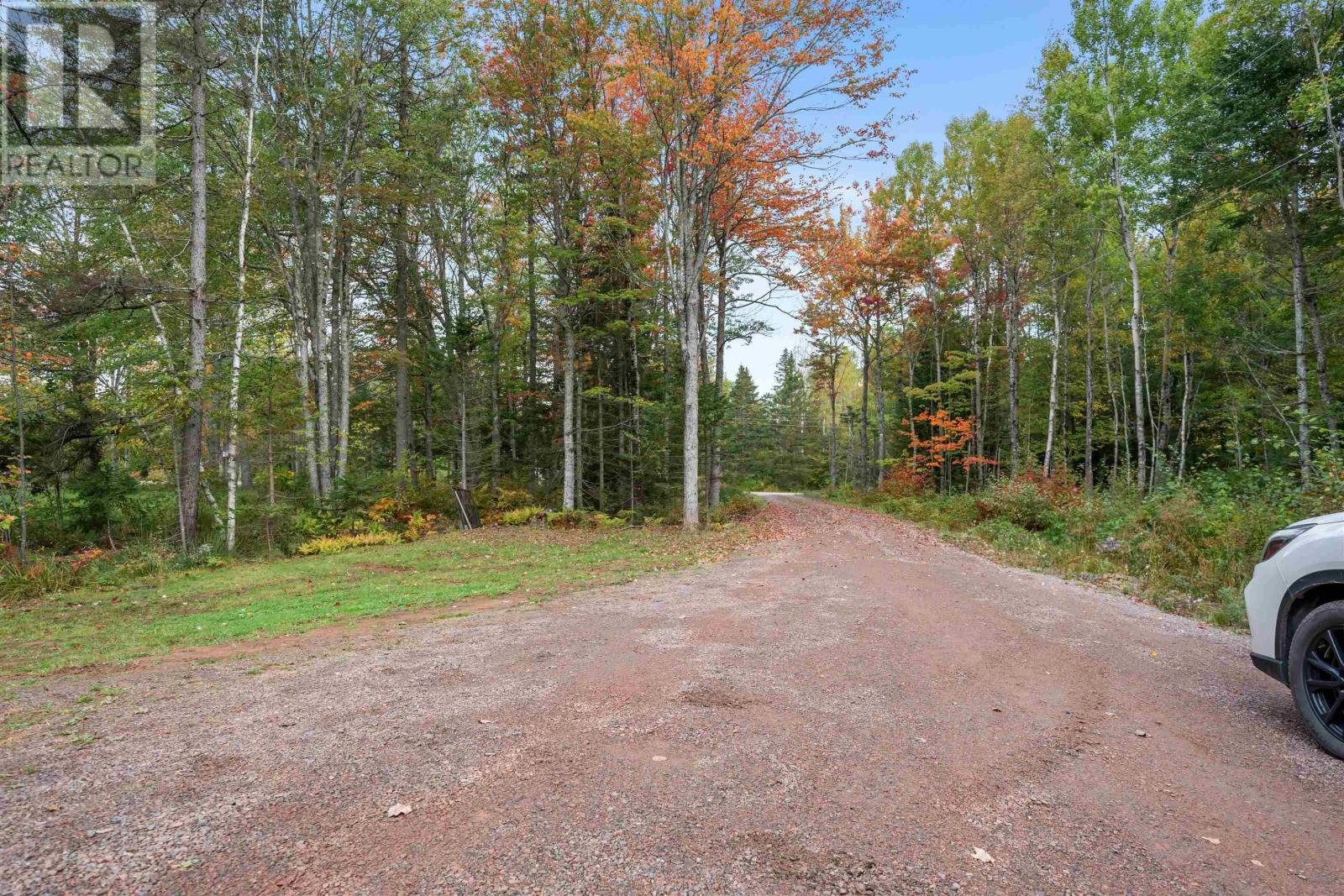 picture 32