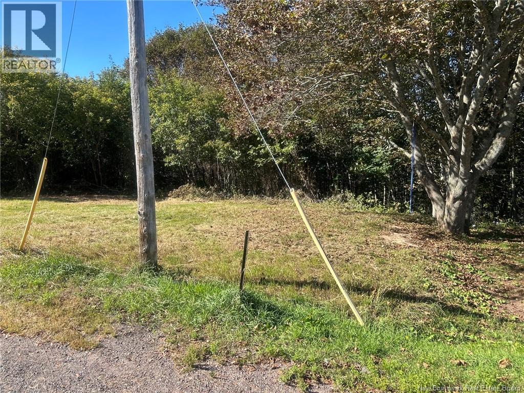 19 St. James Street, Sussex, New Brunswick  E4E 0C8 - Photo 1 - NB149184
