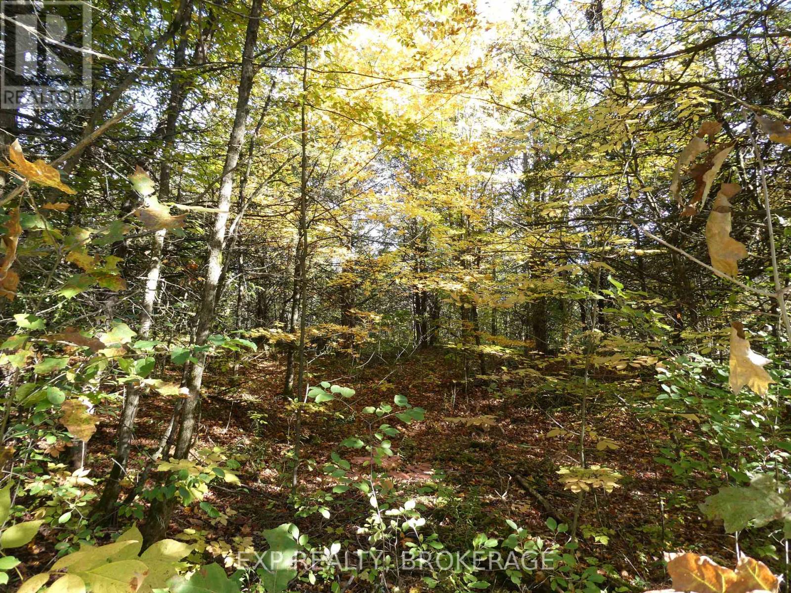 Pt Lt 23 Con 7 Pebble Lane S, Frontenac, Ontario  K0H 2L0 - Photo 5 - X13695370