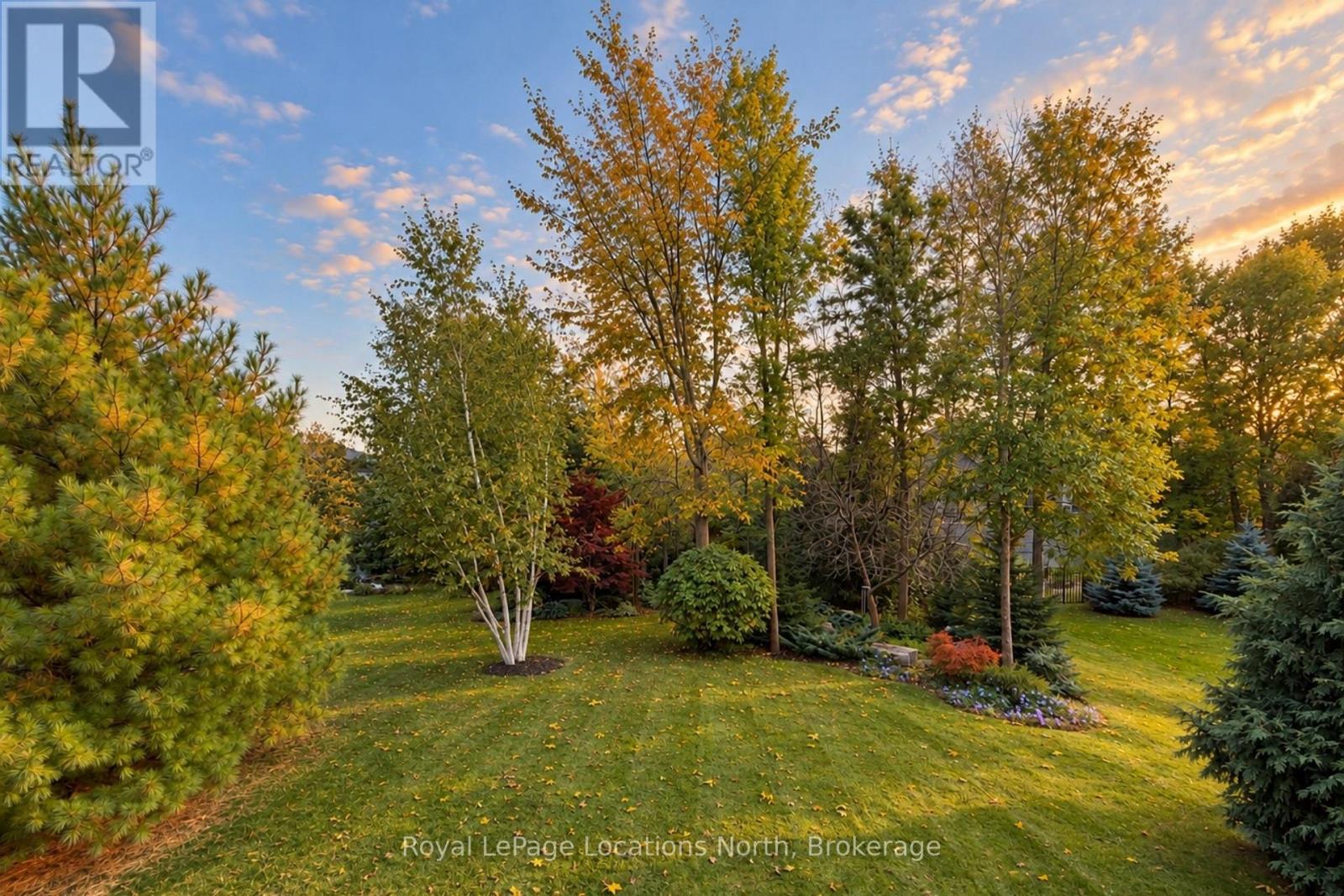 114 Stanley Street, Collingwood, Ontario  L9Y 0G3 - Photo 39 - S13784762